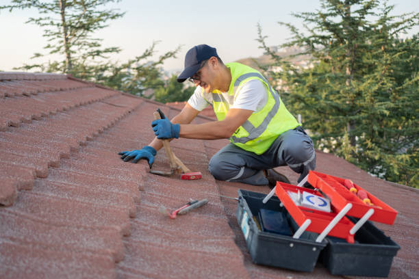 Best Roof Gutter Cleaning  in Somersworth, NH